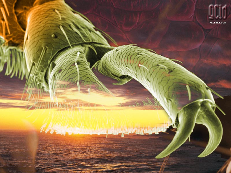 Hand of God by Fluctuate