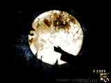 Shadows in the Moonlight by Lab