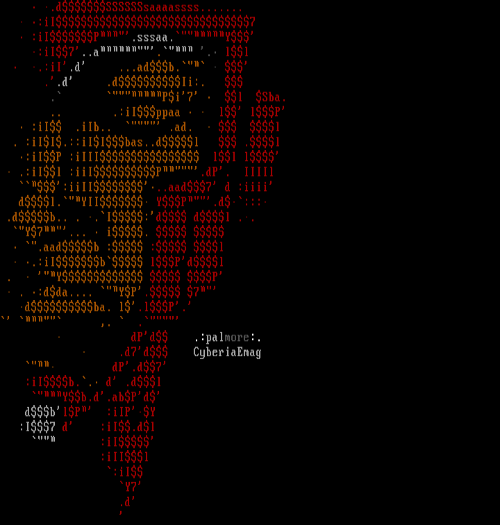 Cyberia Face #2 by Palmore