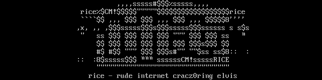 rice ascii by cheeze monkey