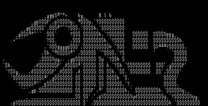rIB ZonE by Deflector