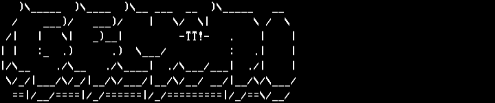 Gemini Promotional by Trinitron